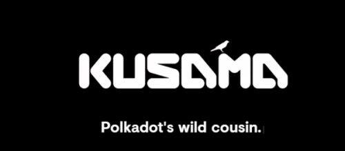 Kusama(KSM)币是什么-第1张图片-芝麻交易所下载